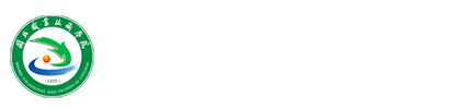 纲手的秘密免费观看全集