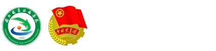 纲手的秘密免费观看全集