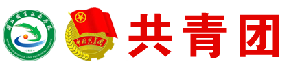 纲手的秘密免费观看全集