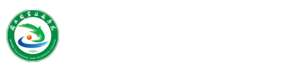 纲手的秘密免费观看全集