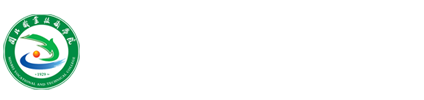 纲手的秘密免费观看全集