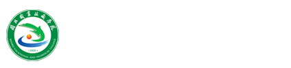 纲手的秘密免费观看全集