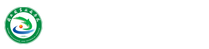 纲手的秘密免费观看全集