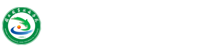 纲手的秘密免费观看全集
