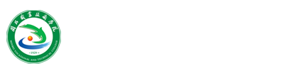 纲手的秘密免费观看全集