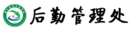纲手的秘密免费观看全集