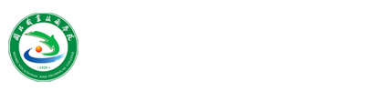 纲手的秘密免费观看全集