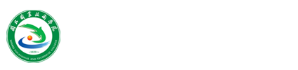 纲手的秘密免费观看全集