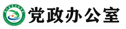 纲手的秘密免费观看全集
