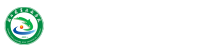 纲手的秘密免费观看全集