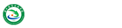 纲手的秘密免费观看全集
