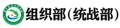 纲手的秘密免费观看全集