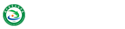 纲手的秘密免费观看全集