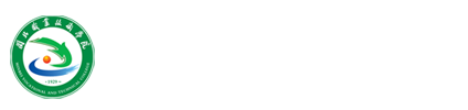 纲手的秘密免费观看全集