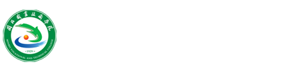 纲手的秘密免费观看全集