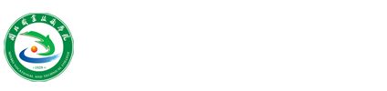 纲手的秘密免费观看全集