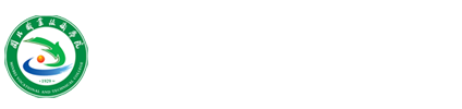 纲手的秘密免费观看全集