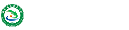 纲手的秘密免费观看全集