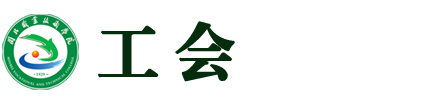 纲手的秘密免费观看全集