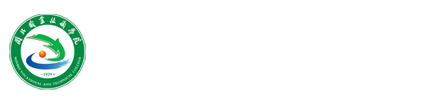 纲手的秘密免费观看全集