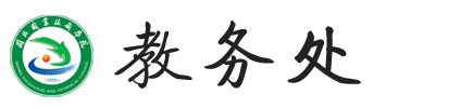 纲手的秘密免费观看全集