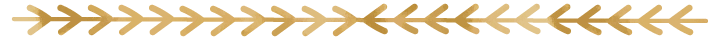 6387452884215050903773062.png 6387452884215050903773062.png