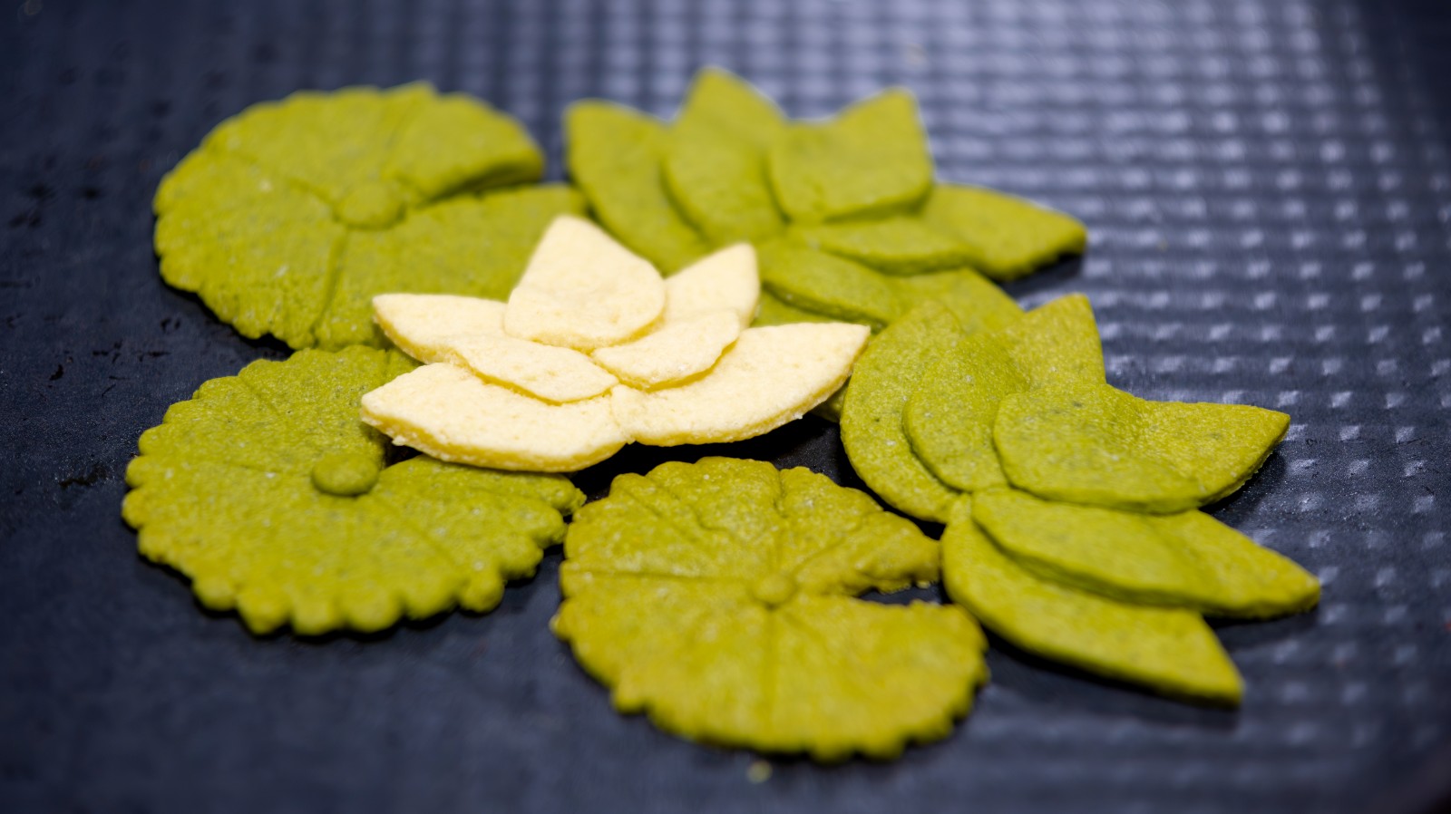 DSC_1937-已增强-降噪.jpg