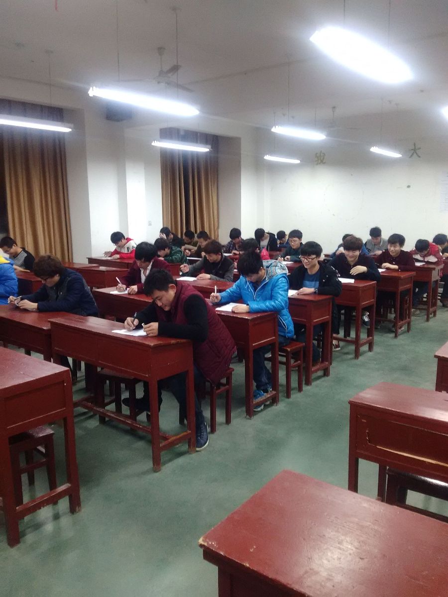 纲手的秘密免费观看全集