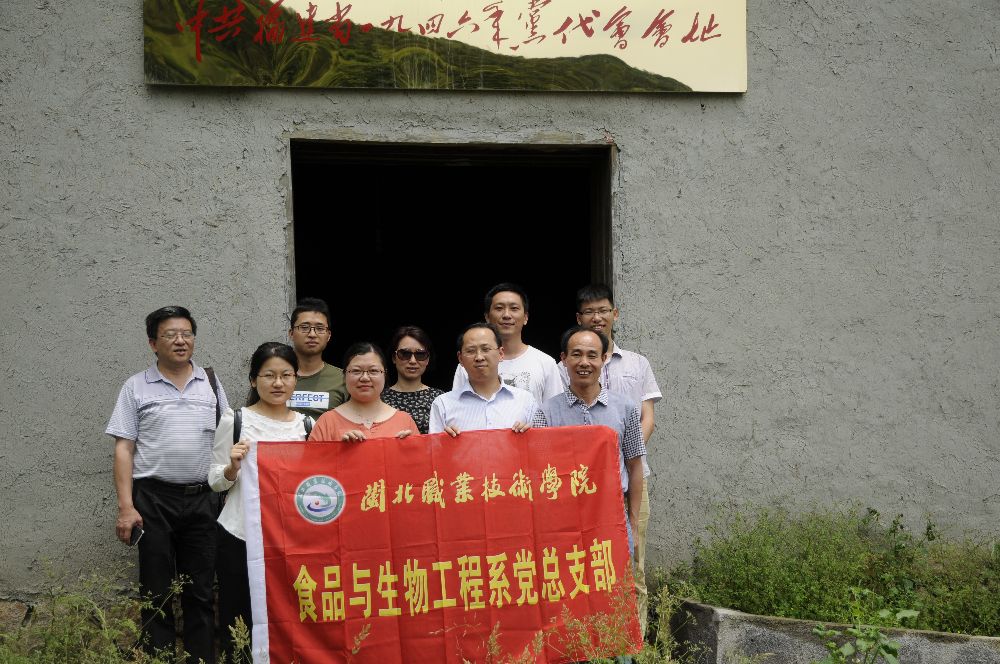 纲手的秘密免费观看全集