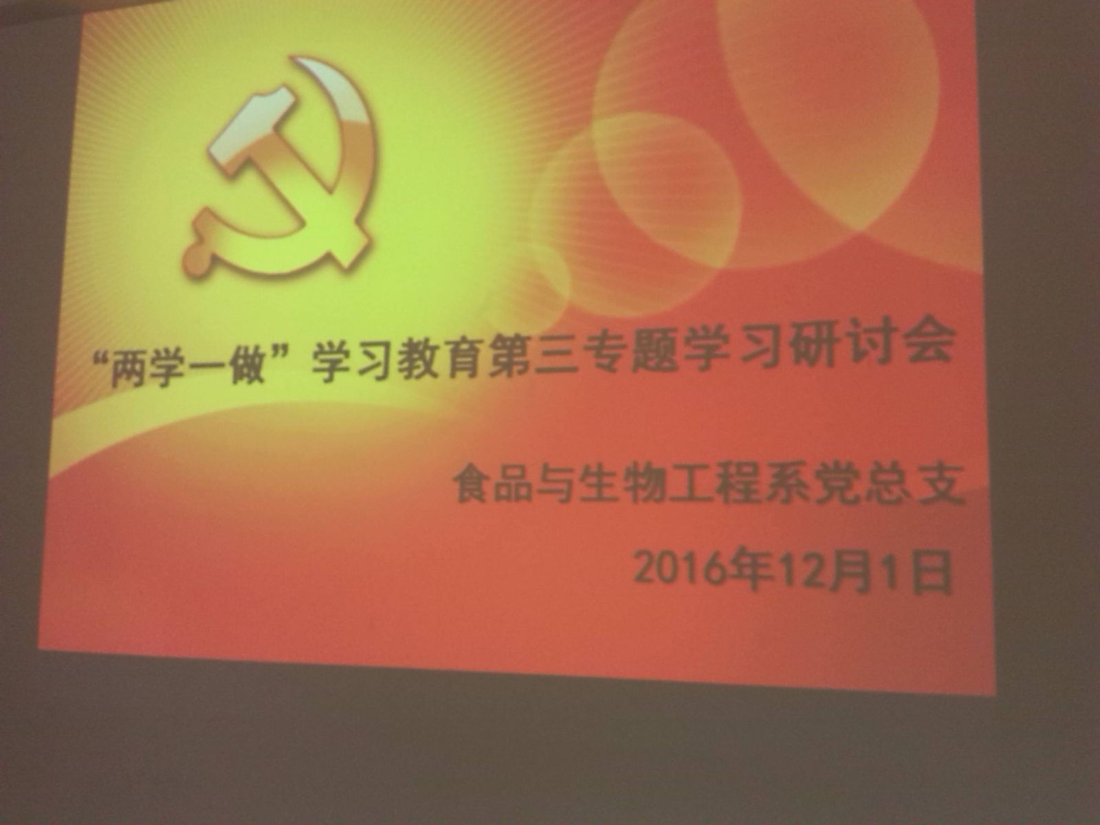 纲手的秘密免费观看全集