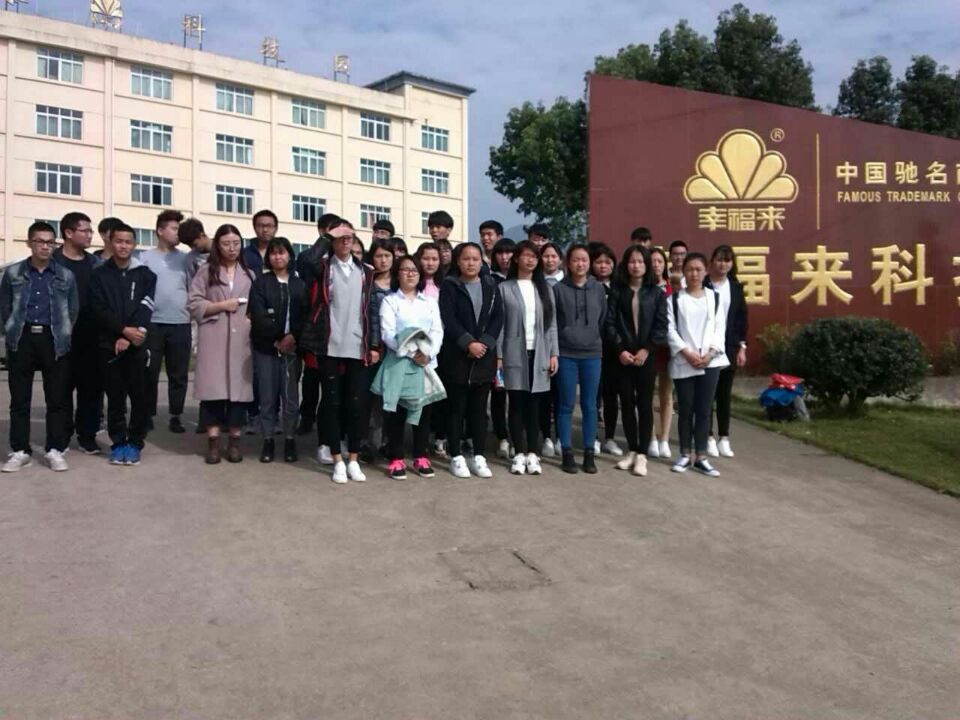 纲手的秘密免费观看全集
