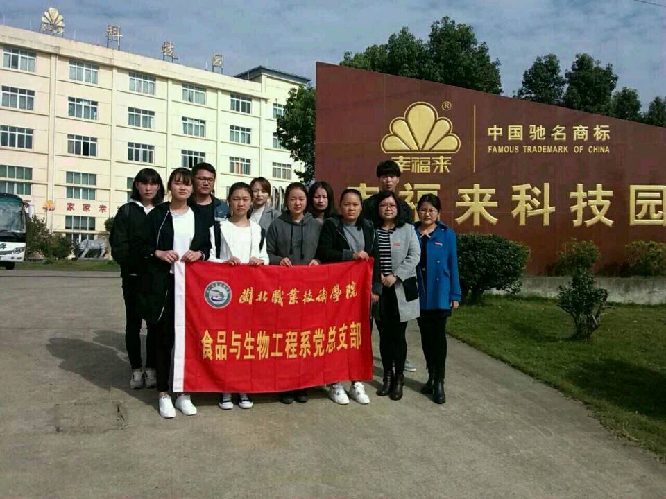 纲手的秘密免费观看全集