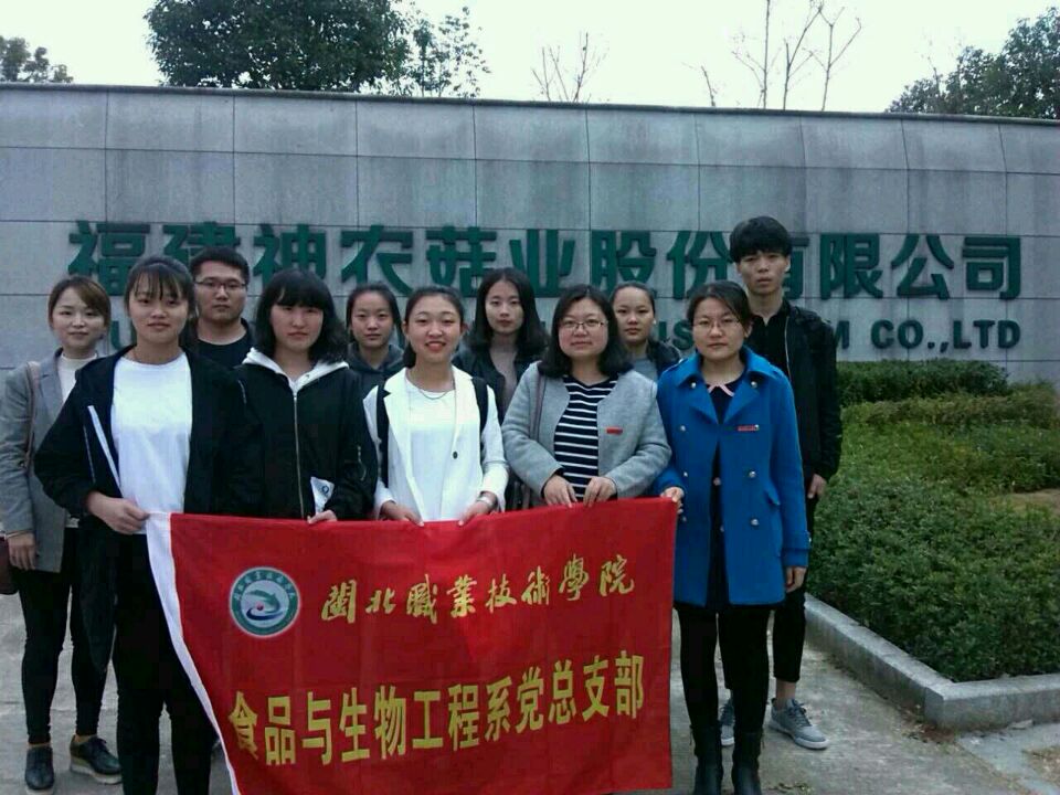 纲手的秘密免费观看全集