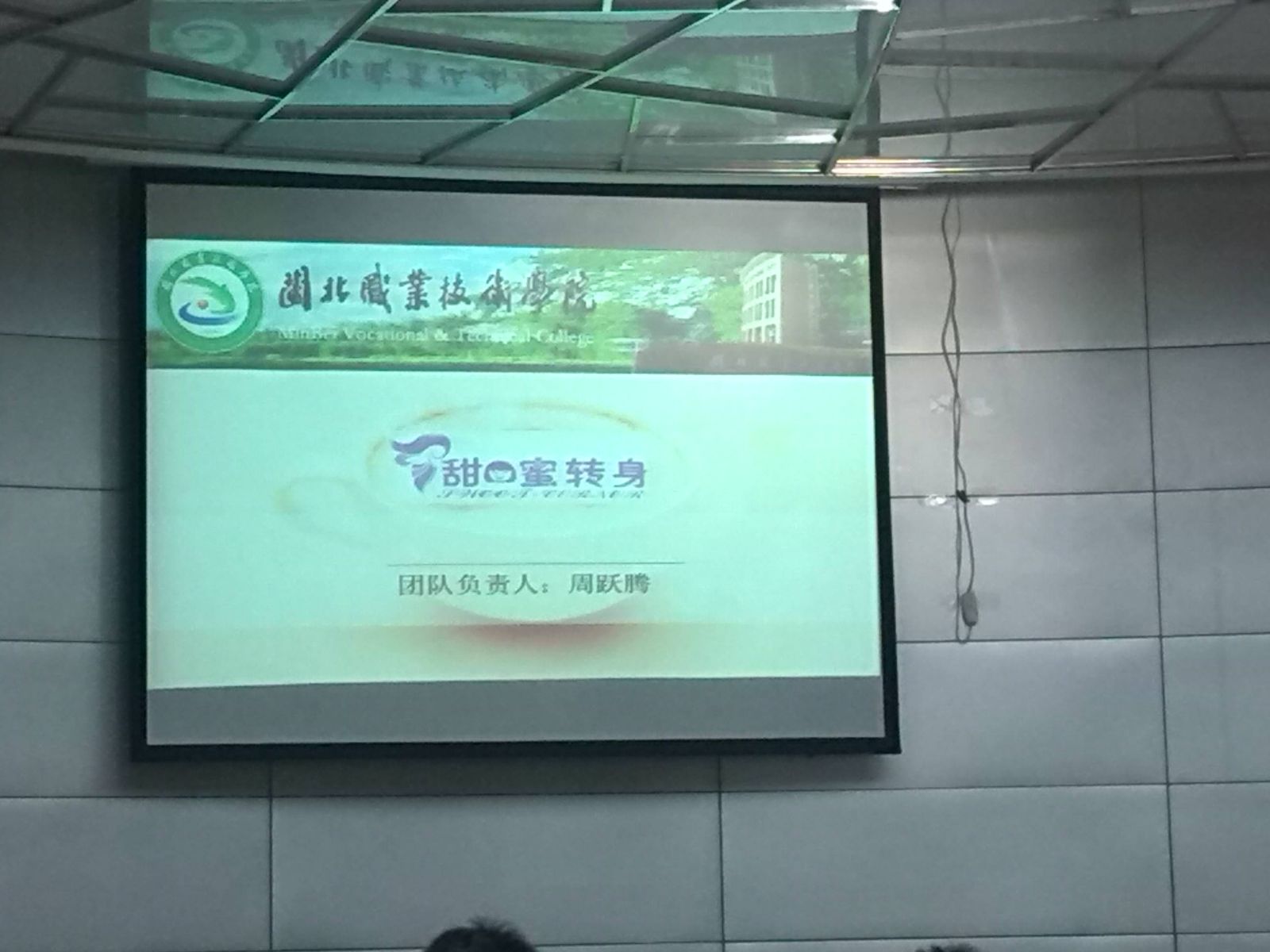 纲手的秘密免费观看全集