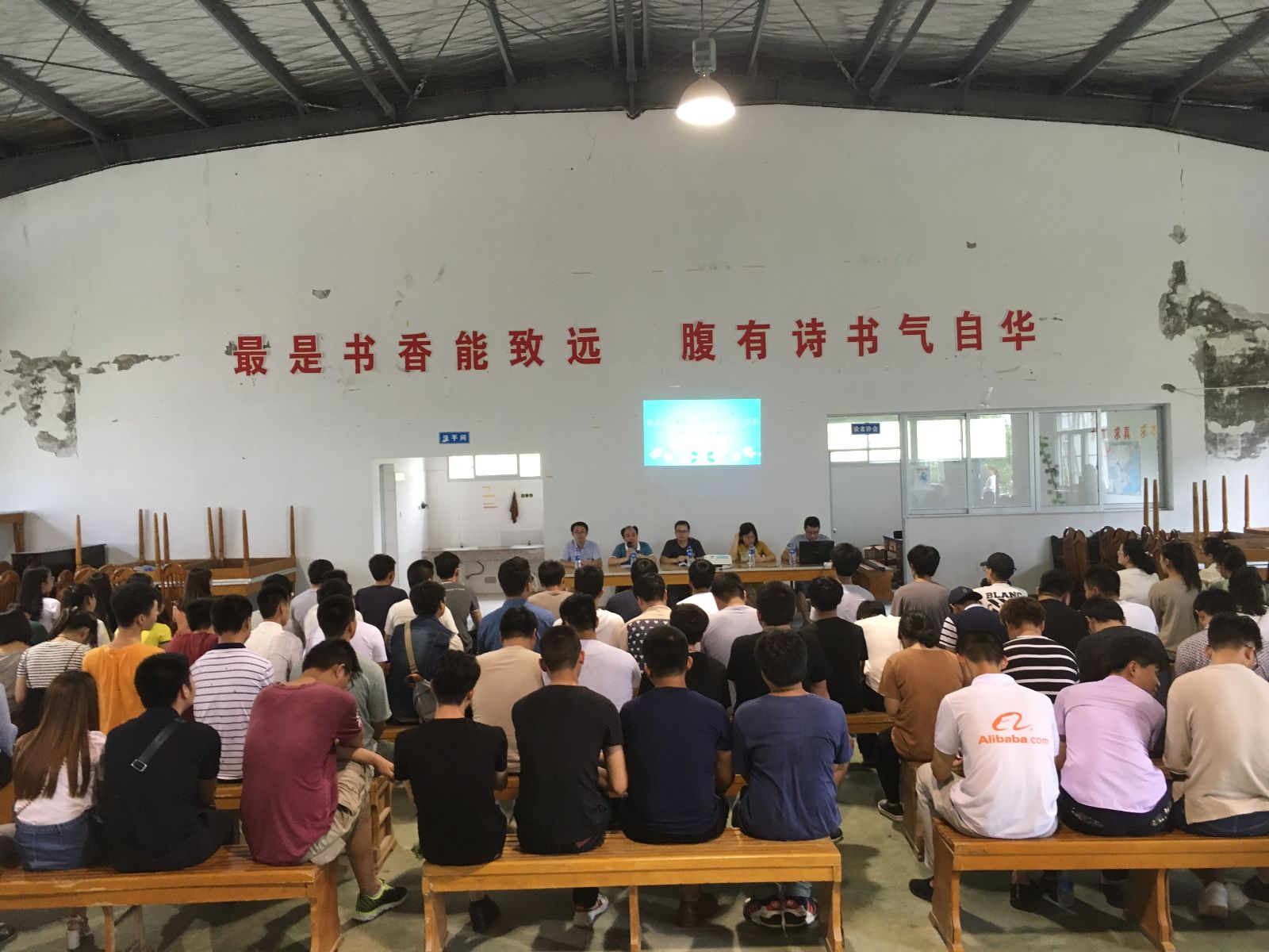 纲手的秘密免费观看全集