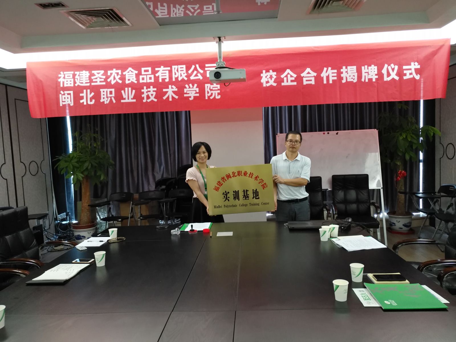 纲手的秘密免费观看全集