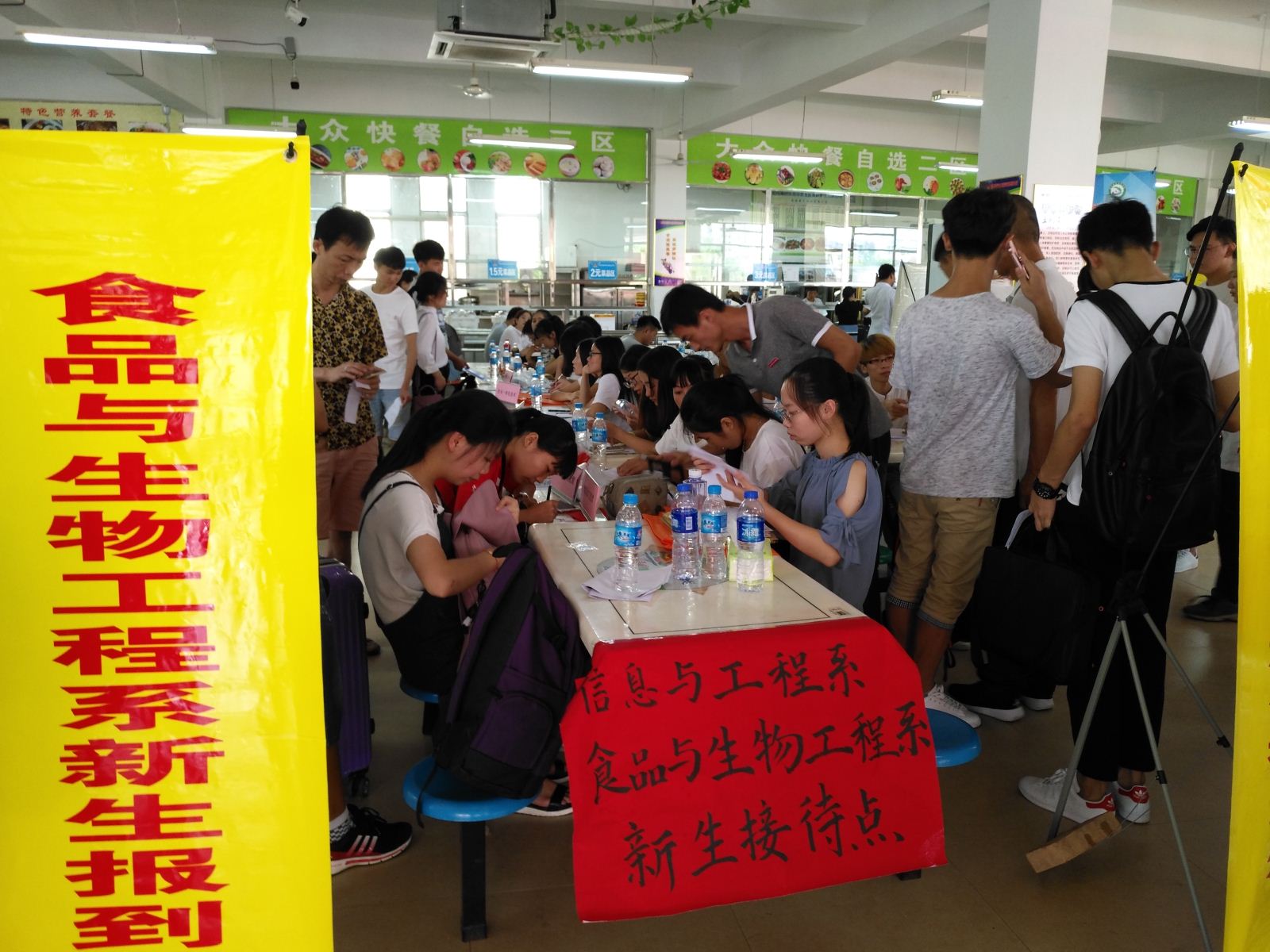 纲手的秘密免费观看全集