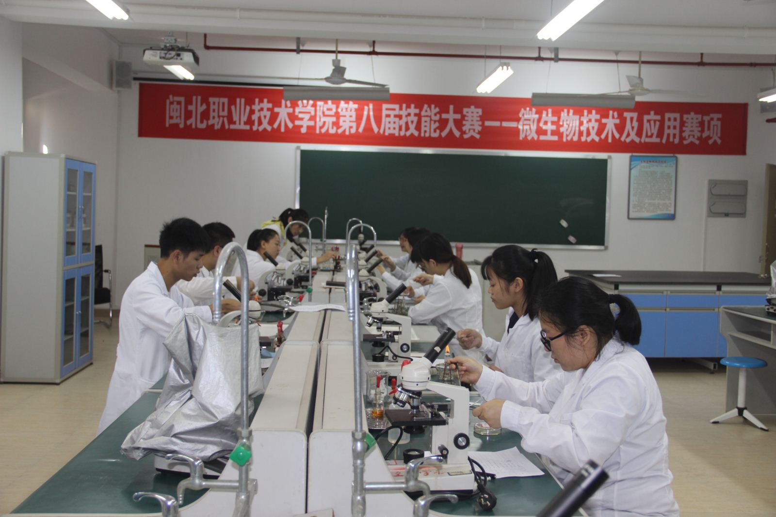 纲手的秘密免费观看全集