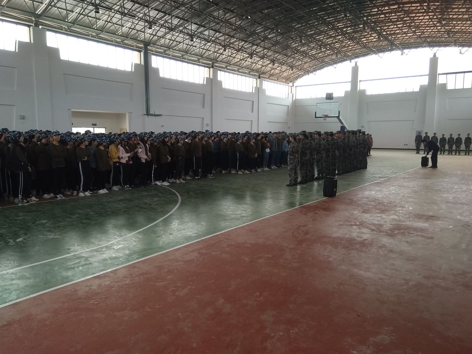 纲手的秘密免费观看全集