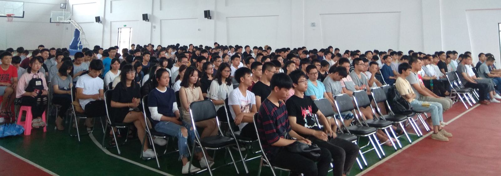 纲手的秘密免费观看全集