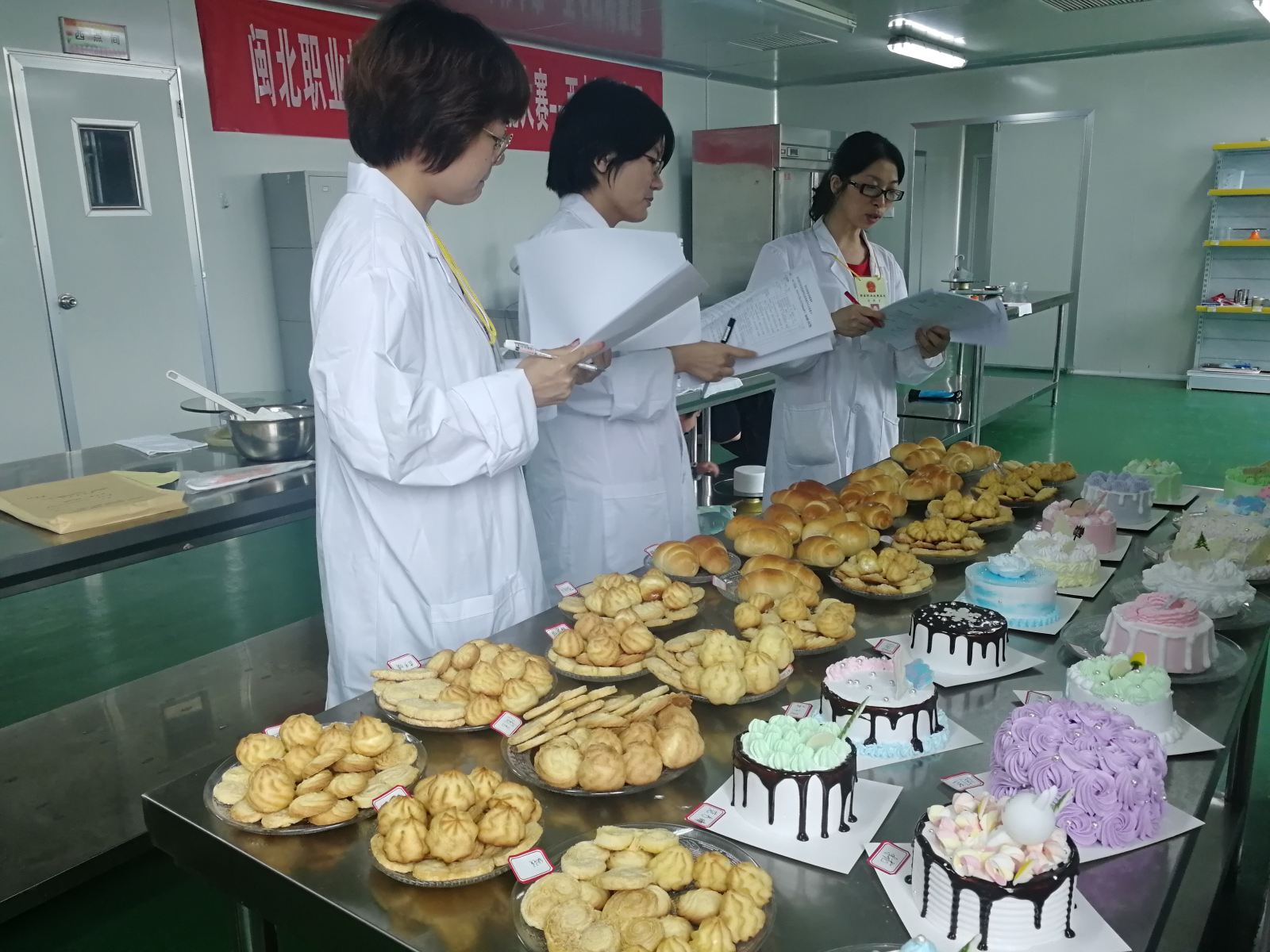 纲手的秘密免费观看全集
